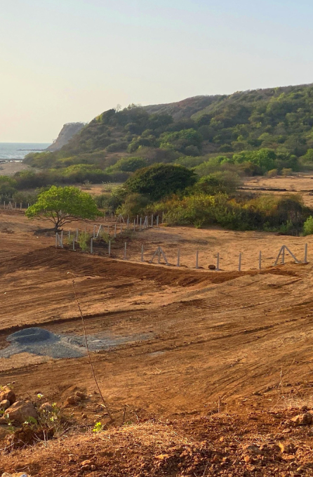 Konkan - 30 Gunthe Sea View Plots
