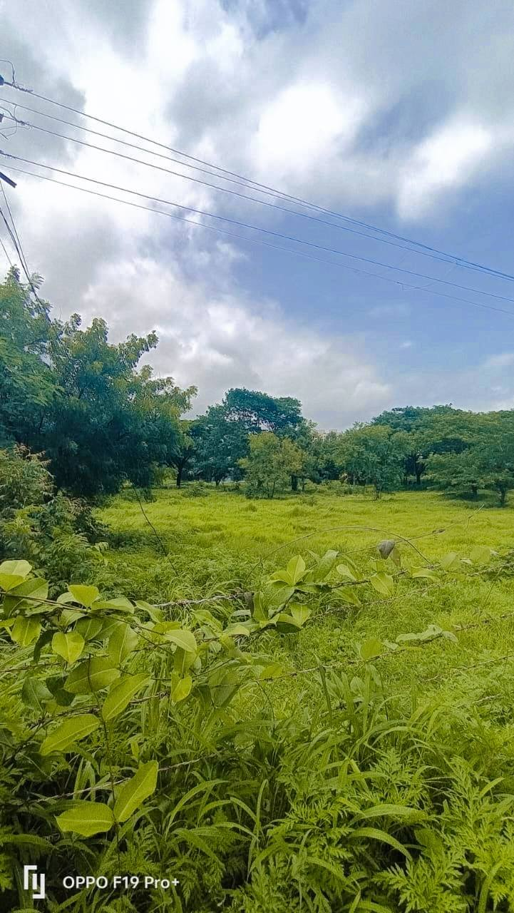 Urawade- Pune - 5500 SQFT Residential NA Plotting Project