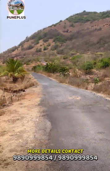 Konkan Karde-Ladghar Road - 1 Acre Beach Touch Plot 