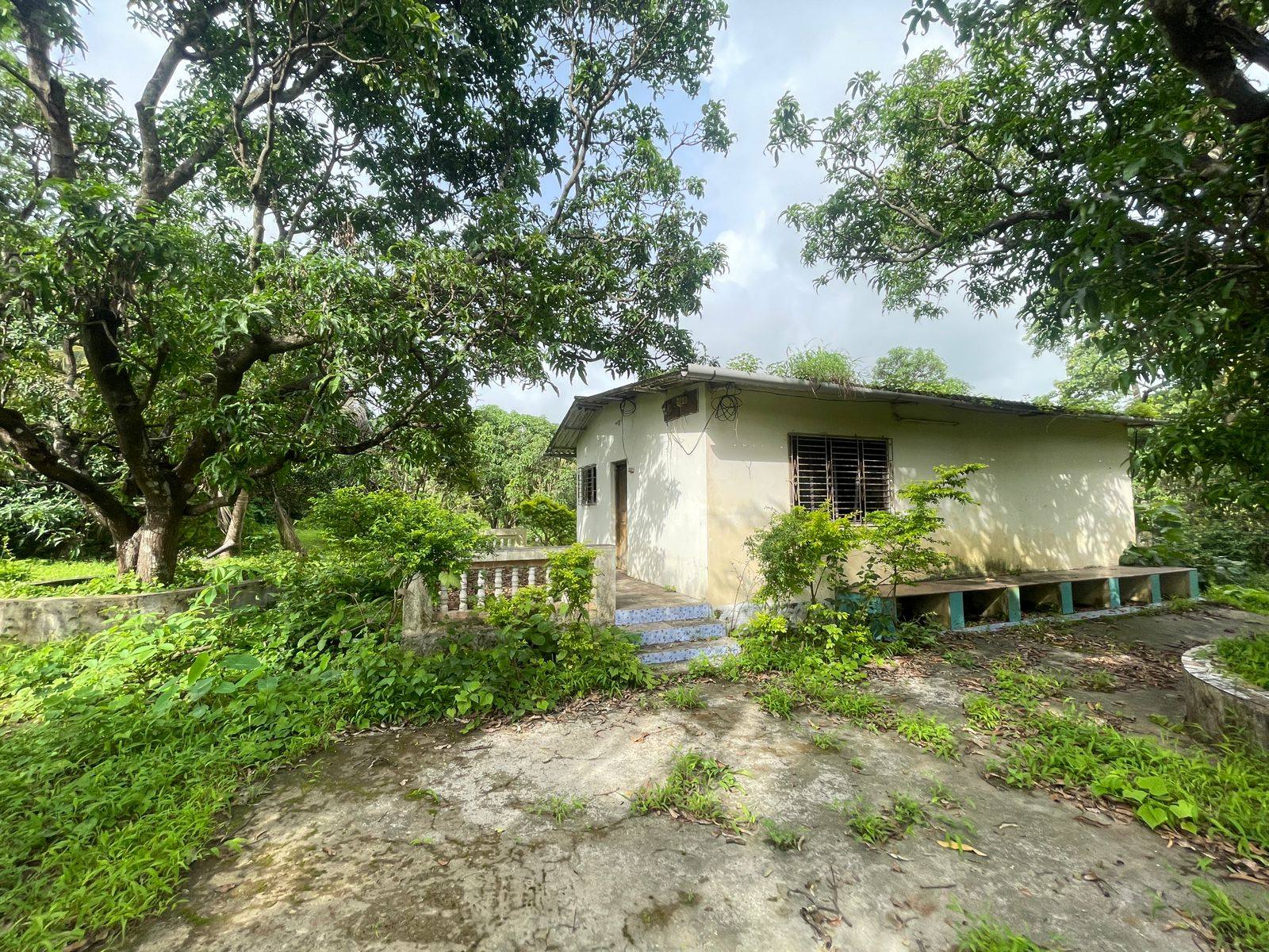 Alibaug - Murud Janjira 1.5 Acre Wadi