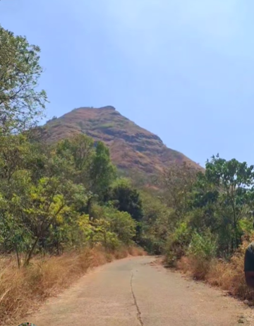 Mulshi-Near Palshe Waterfall - 11 Gunthe Farmhouse Plot