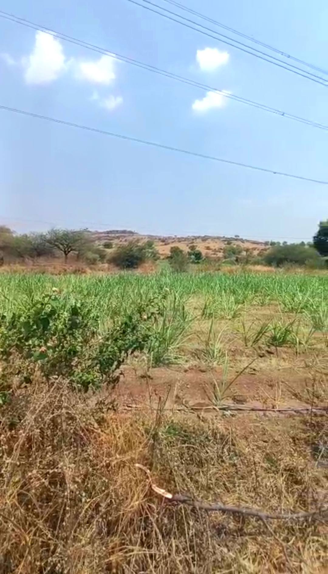 Purandar-Parinche Village - 3 Acre Agriculture Plot