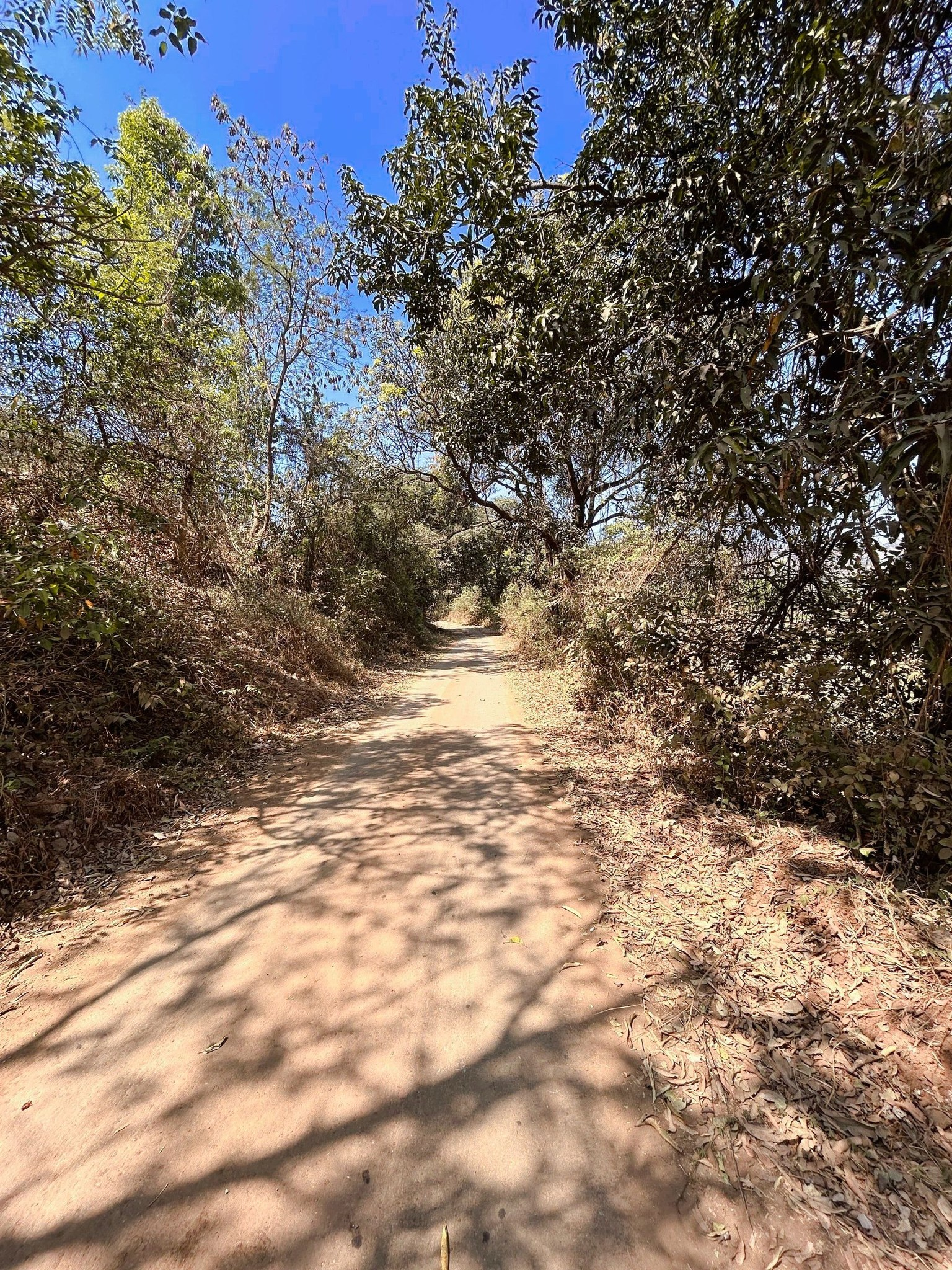 Mulshi-Male - 20 Gunthe Plot 