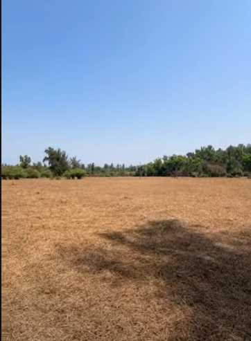 5 Gunthe NA plot Amba Ghat,Kolhapur