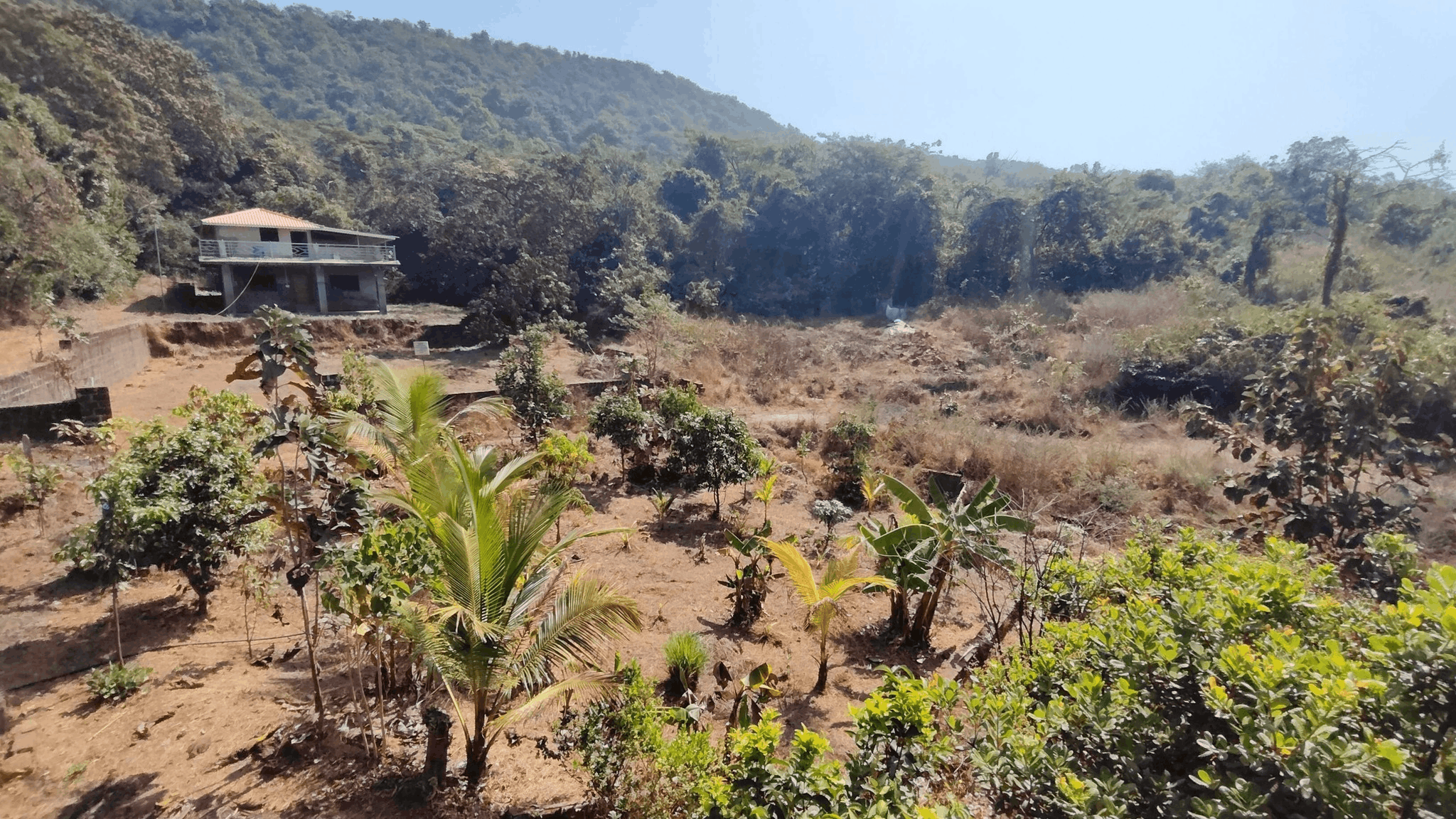 Konkan-Dapoli - 5 Gunthe NA Plot with 2 BHK(1500 SQFT) Bungalow