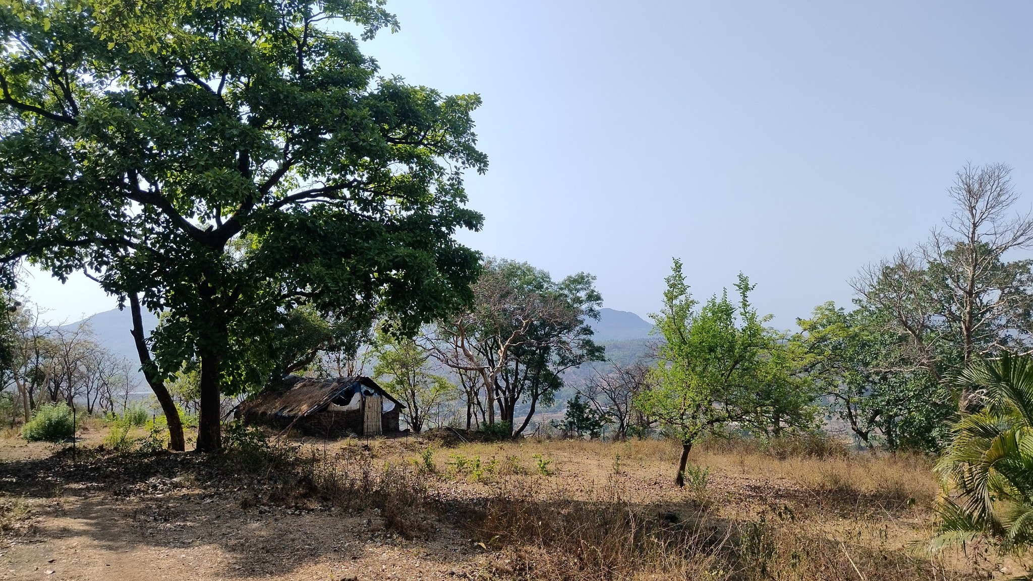 Girivan 10 Gunthe - Mountain View Plot