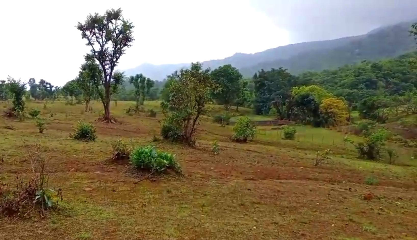 73-agriculture-plot-ecc1e588-6a3e-421d-ac3d-f9cd0b508f78.jpg