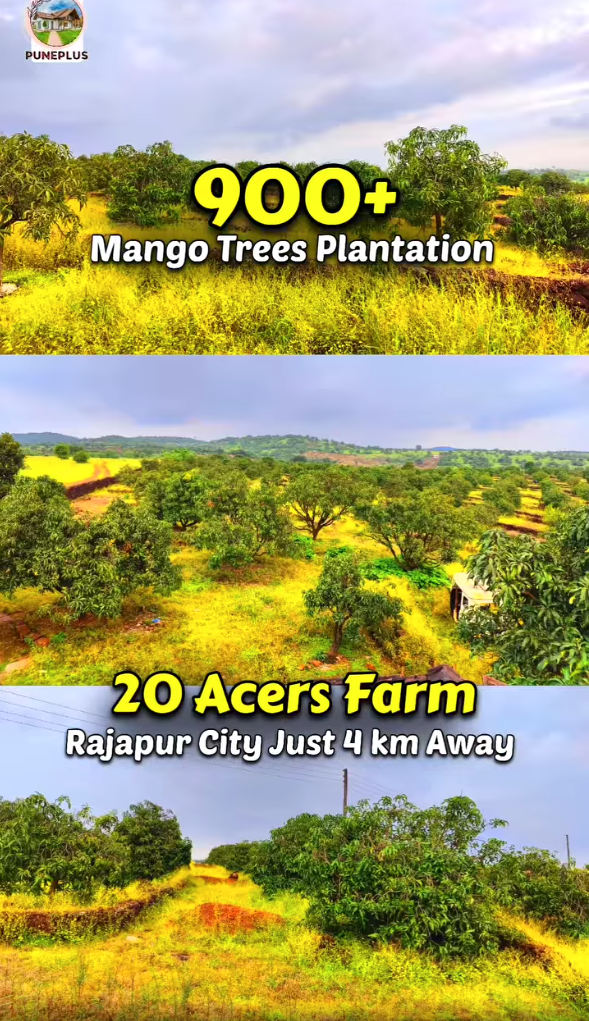 Rajapur - 20 Acre Mango Farm