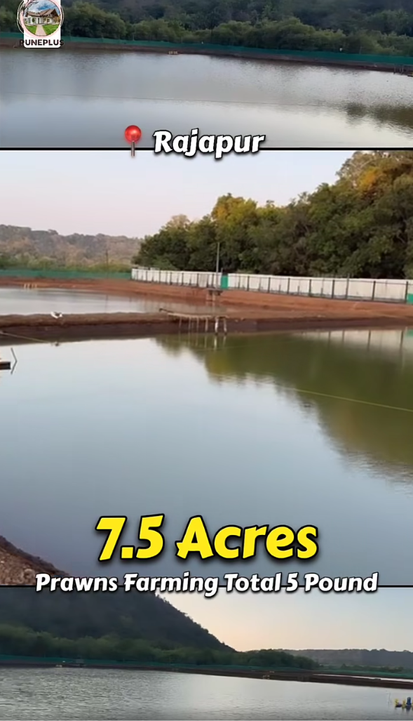 Rajapur - Prawns Project 20 Acre