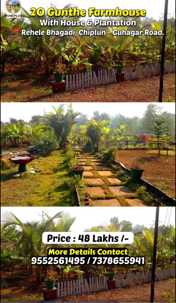 85-farmhouse-plot-3a7ca8ab-3347-4e54-8343-0161a89e7271.png
