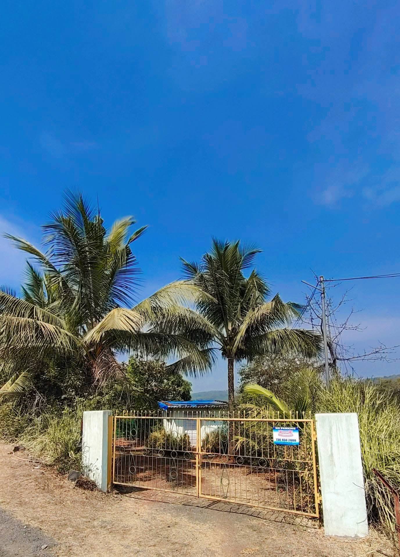 Murud - 20 Gunthe Wadi Project