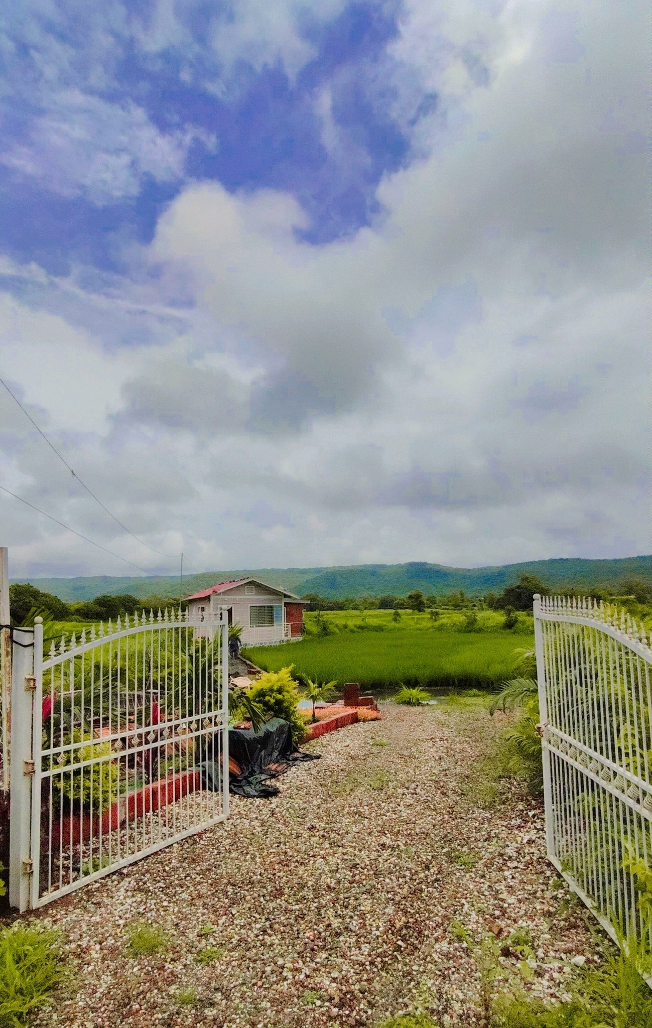 Murud Alibaug - 30 Gunthe Plot with Farmhouse