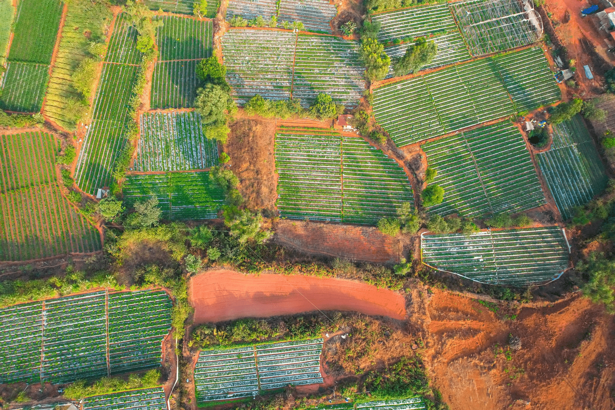 Mahabaleshwar-Bhilar - 84 Gunthe Land with Strawberry Garden 