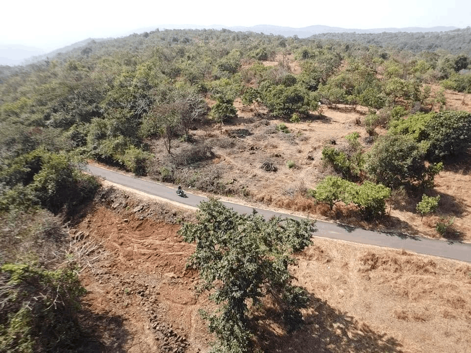 Dapoli-Tivare - 17 Gunthe Agricultural Land for Sale