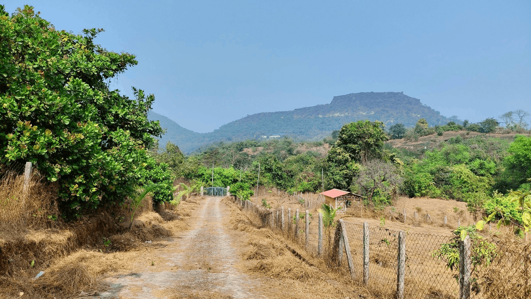 Murud-Janjira-Tala-Captains Paradise - 6 Acres Project-Half Acre(20 Gunthe) Farmhouse Plots