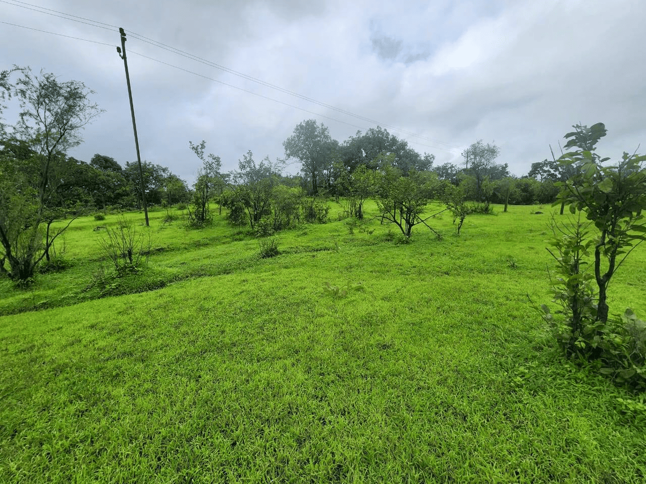Mulshi-Lavasa Road - 20 Gunthe Farm Plot with Beautiful View